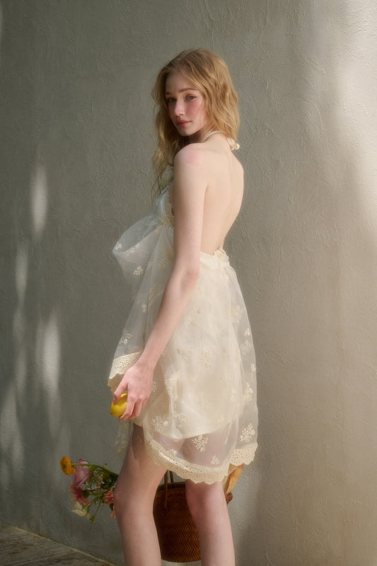 Fluffy Embroidered Lace Halter Fairy Dress