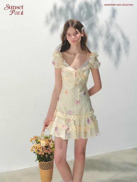 Flutter Sleeve Embroidered Floral Mini Dress