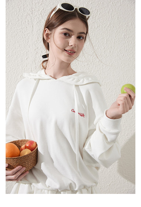 Cinched Waist Embroidered Hoodie Dress