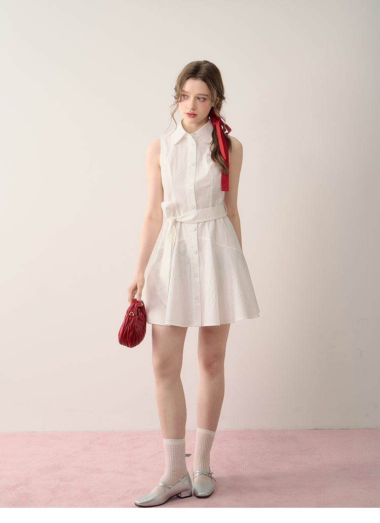 A-Line Flared Belted Dress In Sleeveless & Long Sleeve Options