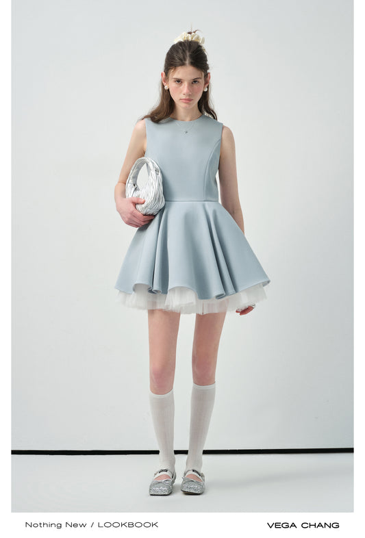 Tulle-Lined Full Skirt Sleeveless Dress