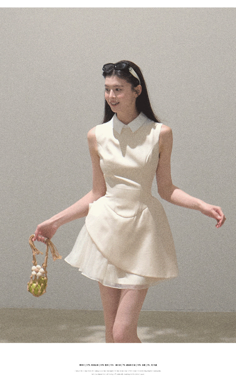 Sleeveless Structured Dress With Removable Collar
