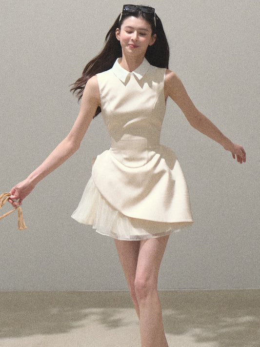 Sleeveless Structured Dress With Removable Collar