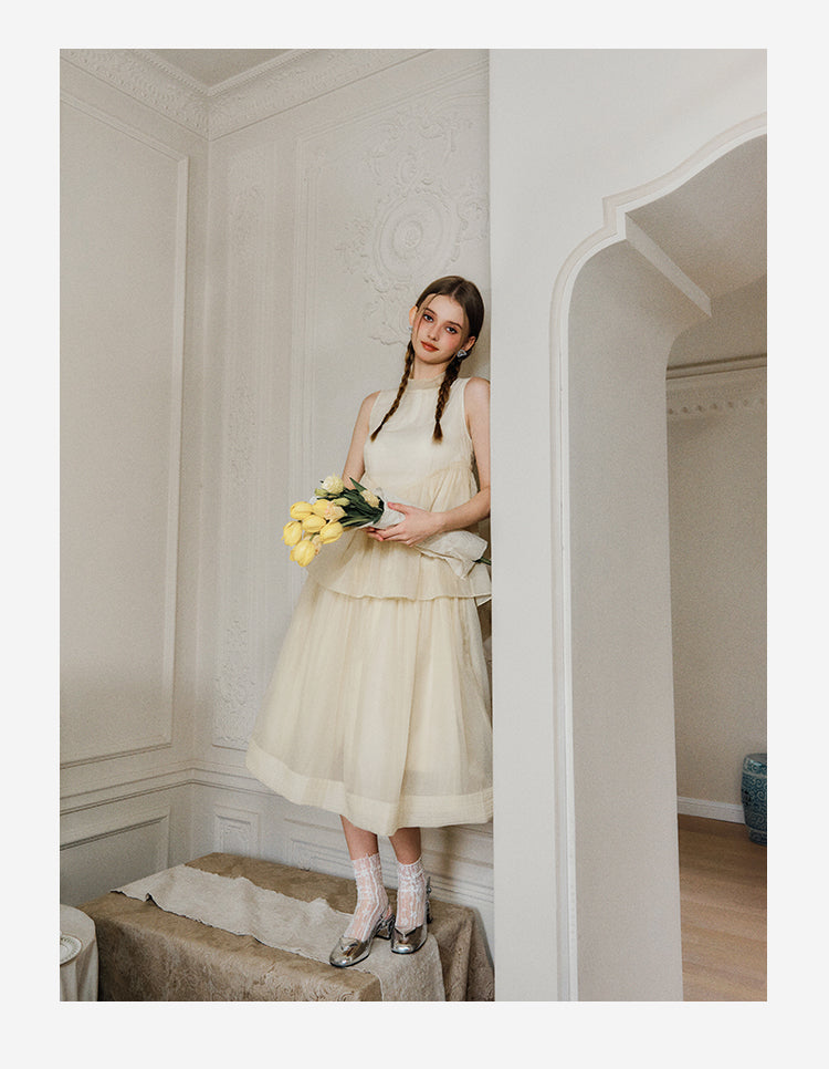 Frilled Neck Sleeveless Tiered Sheer Dress