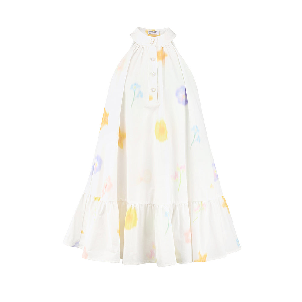 Printed Button-Front Sleeveless A-Line Dress