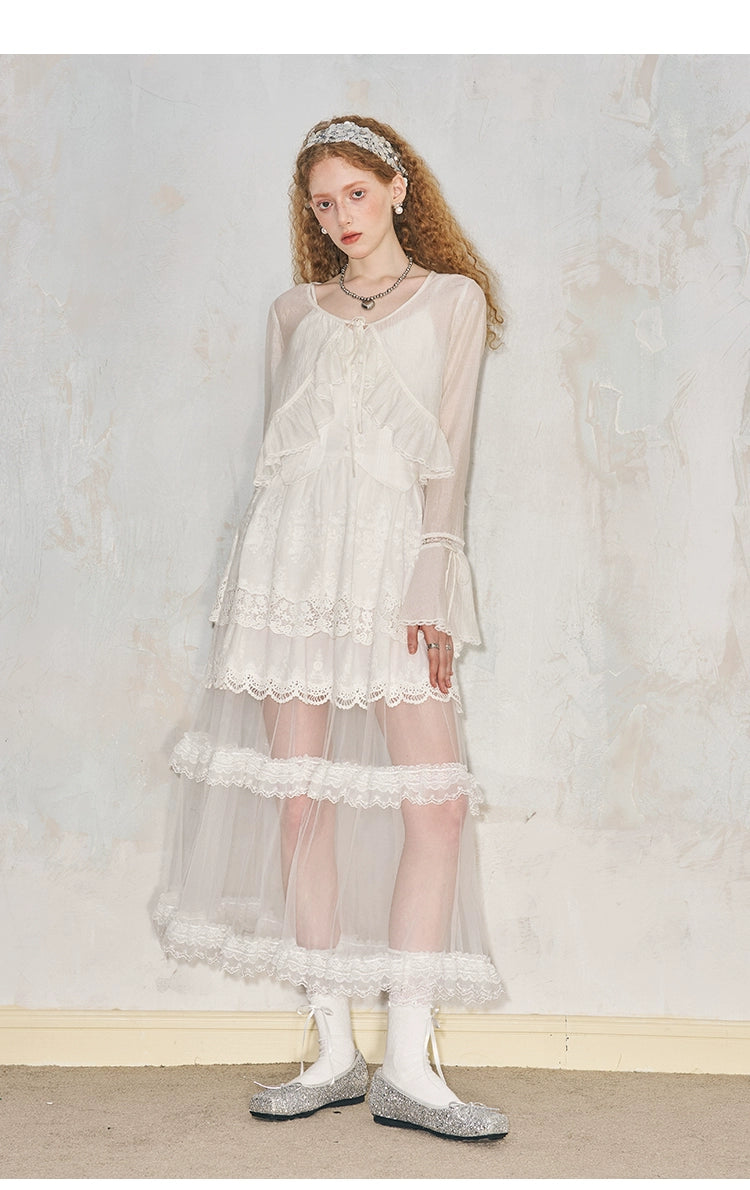 See-Through Embroidered Lace Long Tulle Organdy Dress