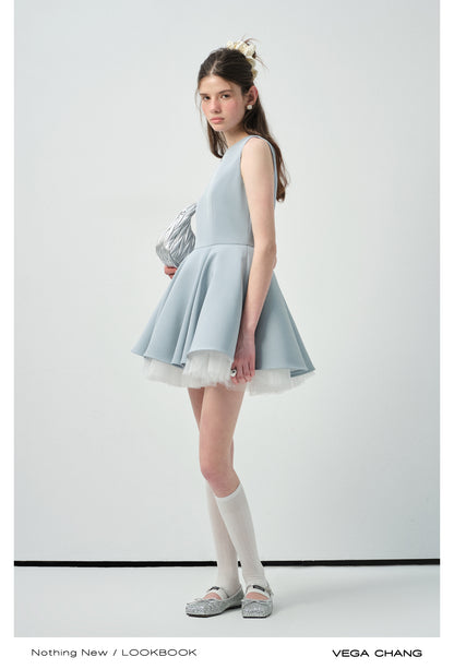Tulle-Lined Full Skirt Sleeveless Dress