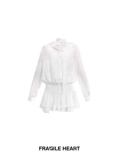 Sheer Chiffon Shirt Dress