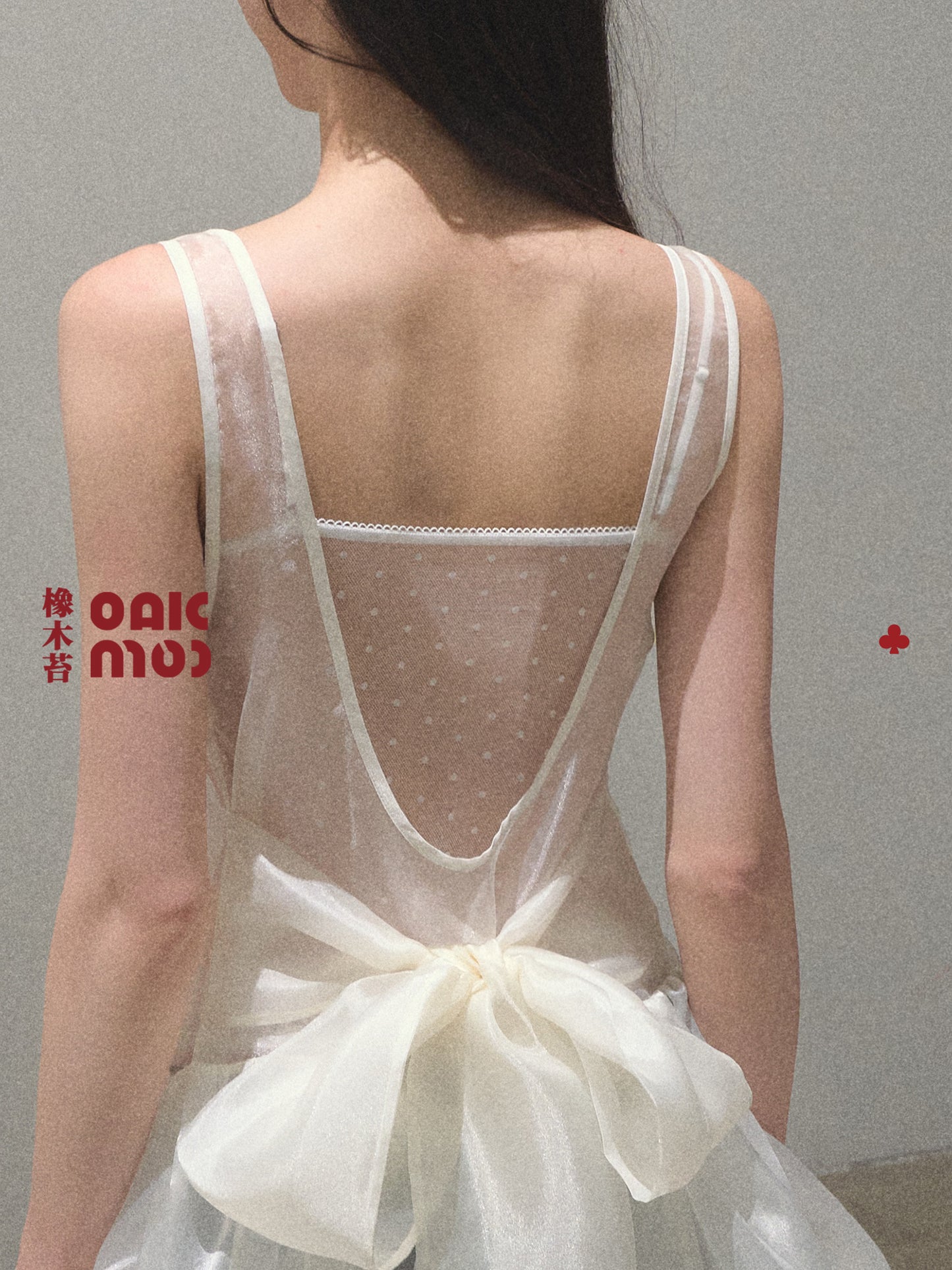 Sheer Organza Sleeveless Bubble Dress