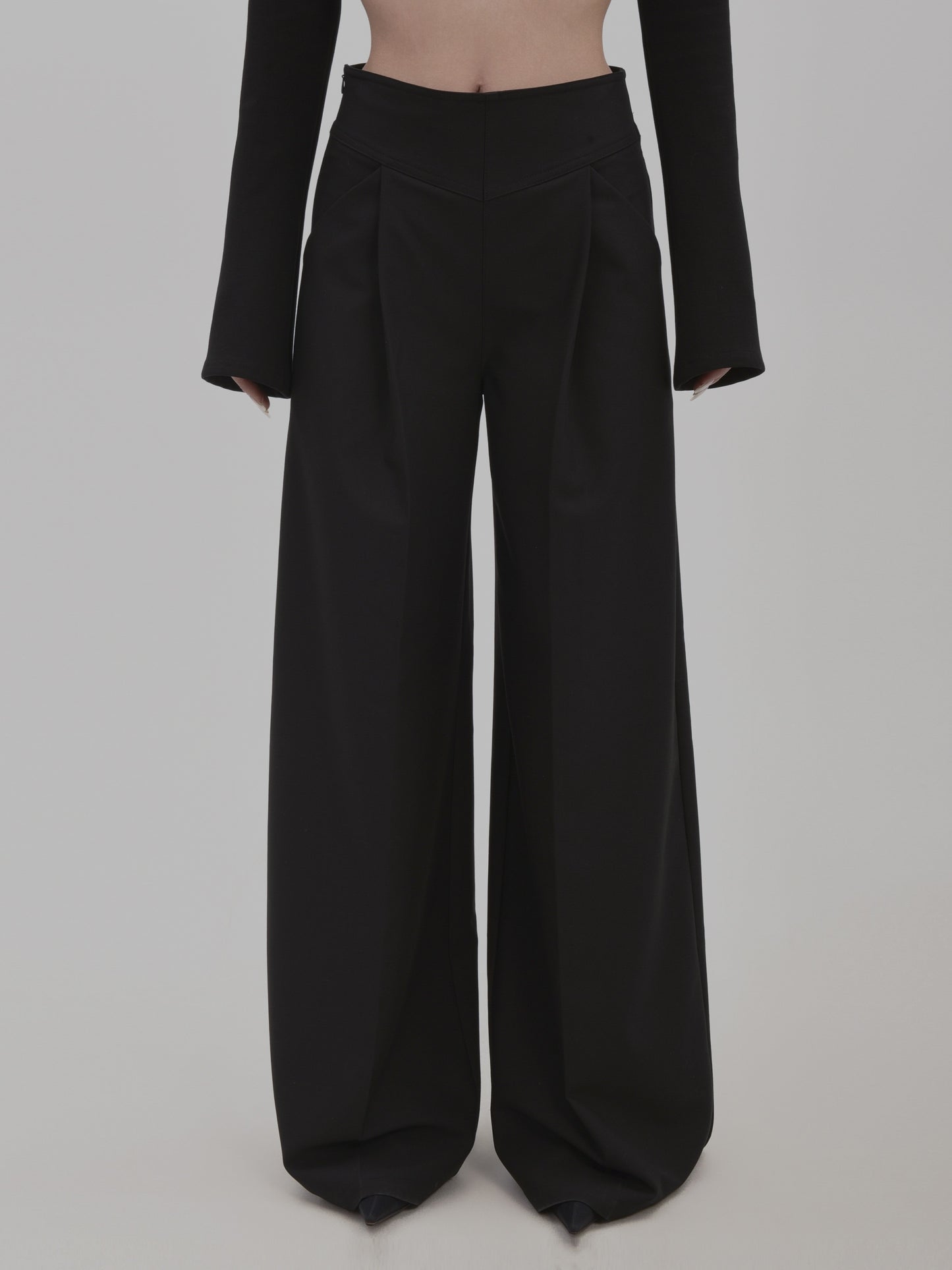 Floor-Length Tailored Tuck Wide-Leg Pants
