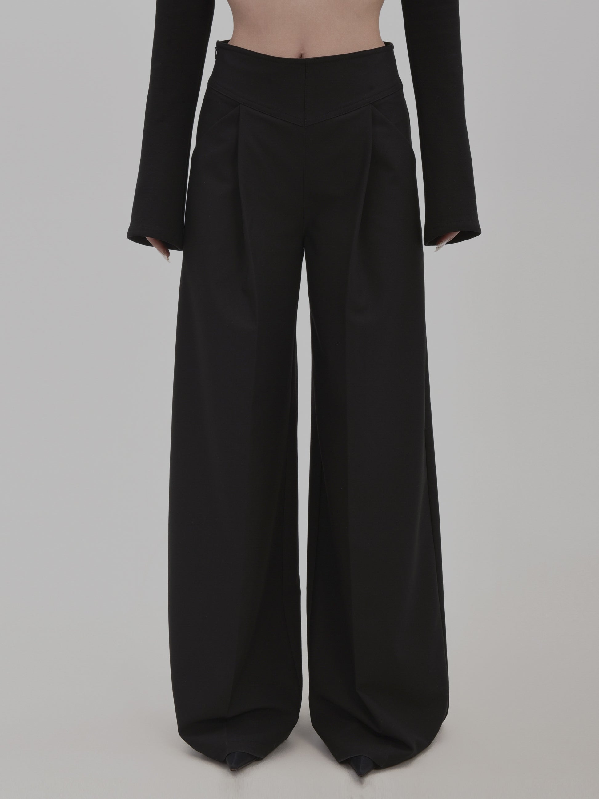Floor-Length Tailored Tuck Wide-Leg Pants
